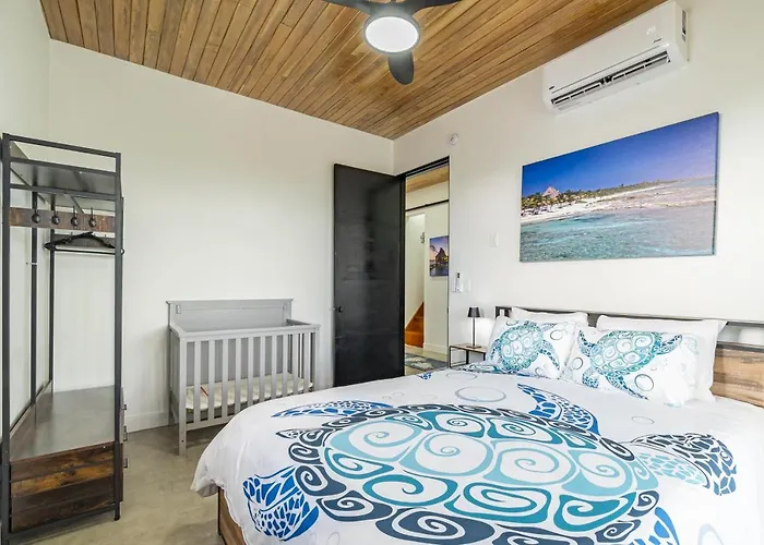 Blue Lagoon And Mistico Club Boat Shuttle Villa San Pedro (Ambergris Caye)